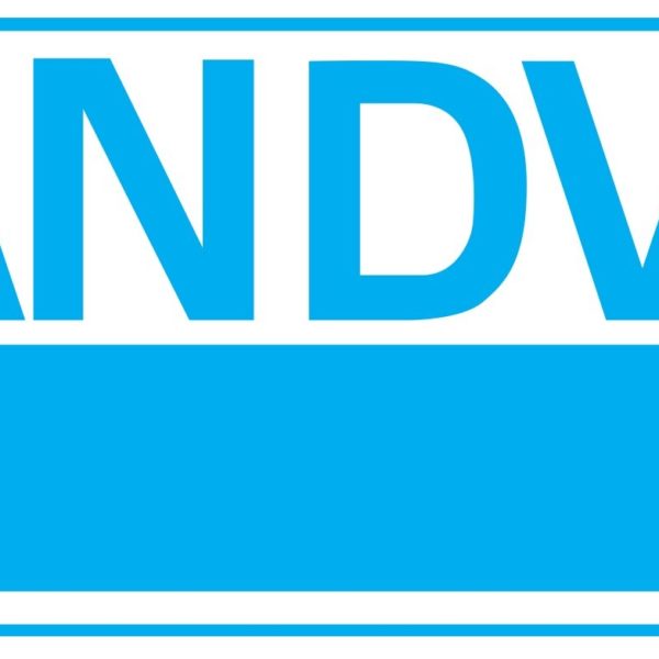 9 sandvic-logo